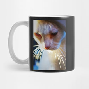 White Cat Looking Down Mug